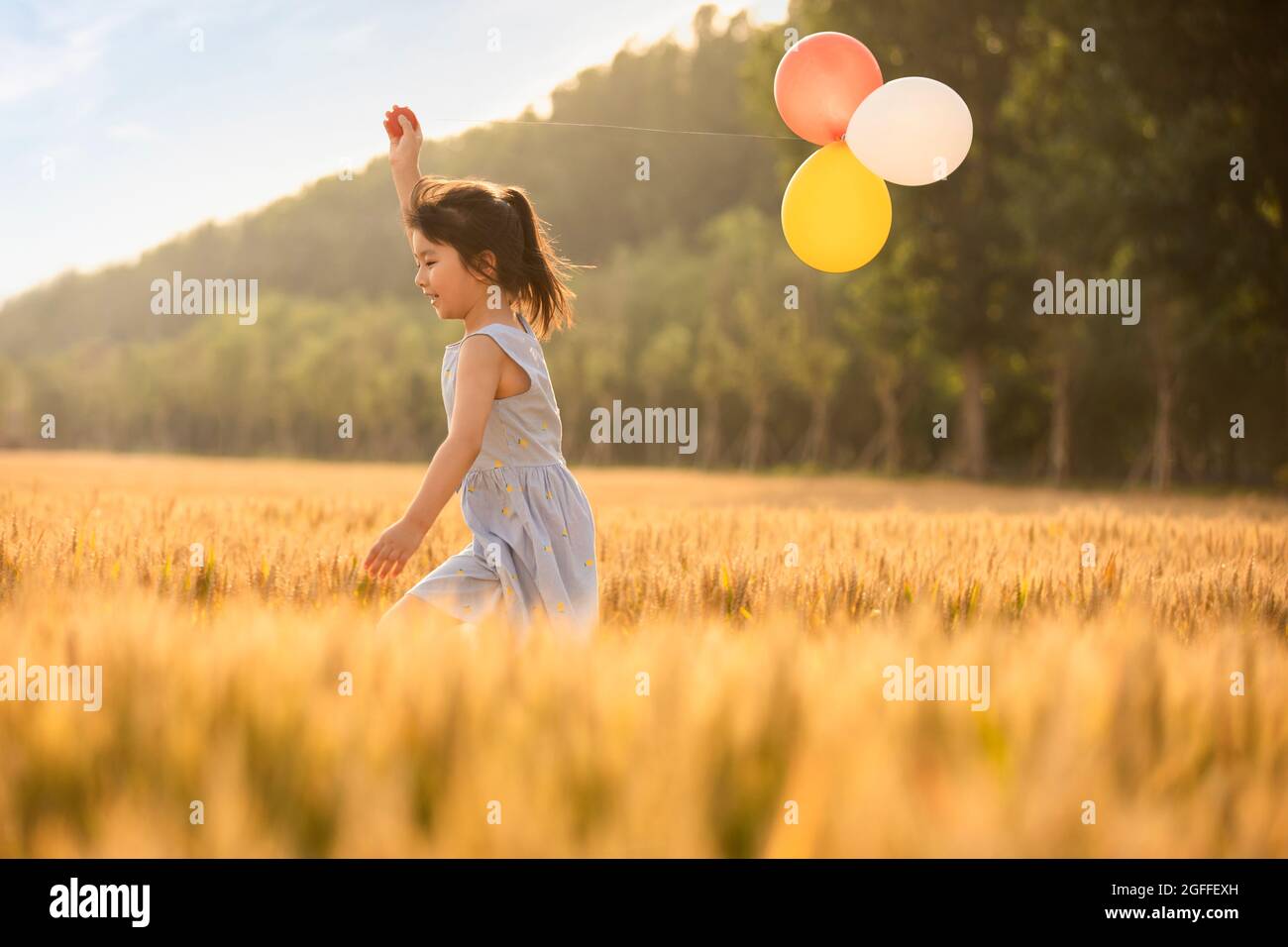 Little girl playing with balloons in wheat field Stock Photo - Alamy