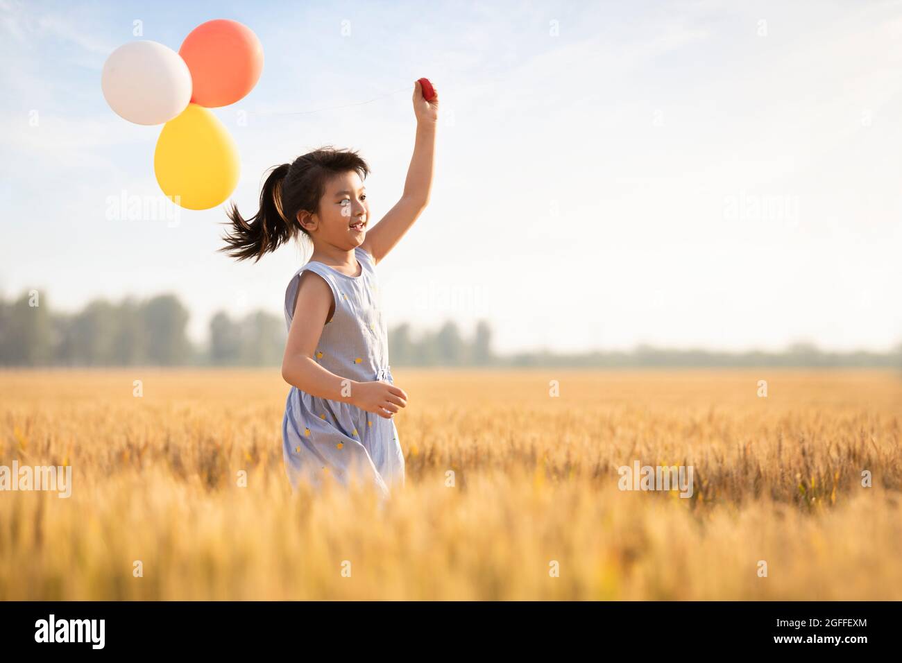 Little girl playing with balloons in wheat field Stock Photo - Alamy