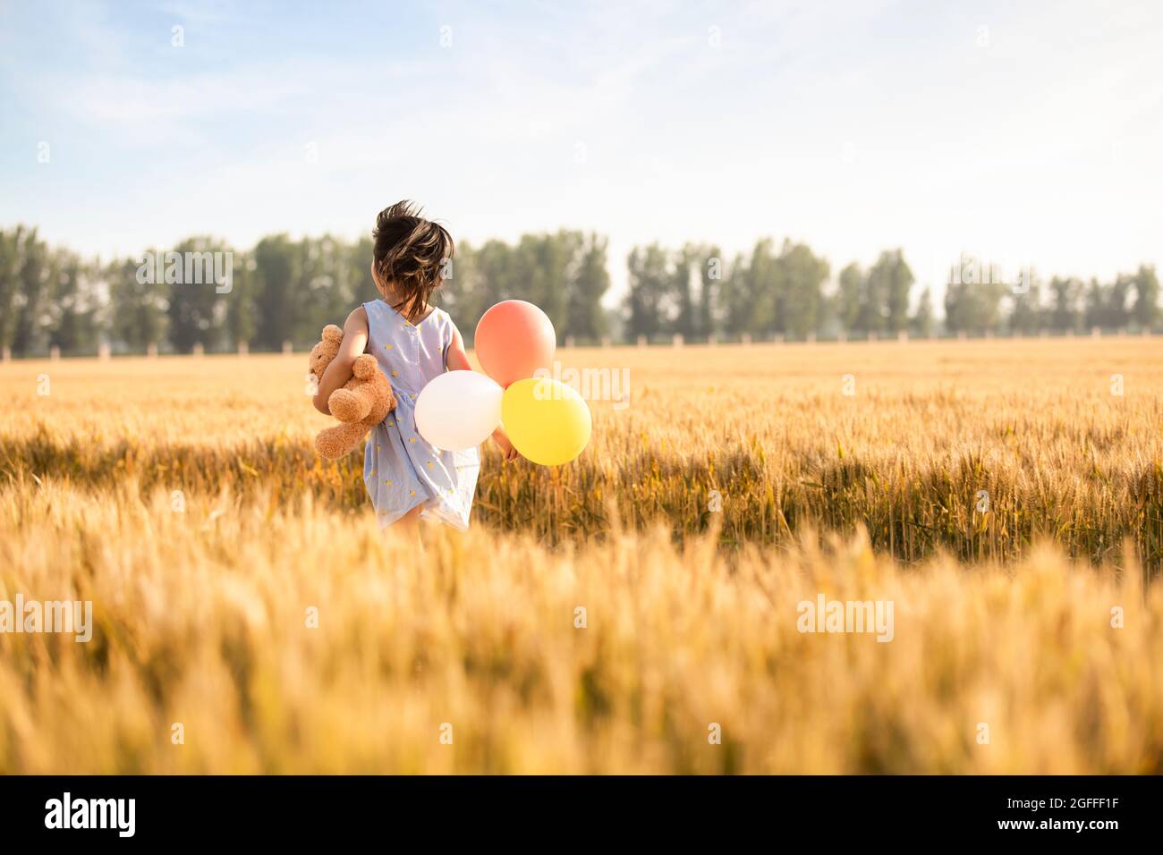 Little girl playing in wheat field Stock Photo - Alamy