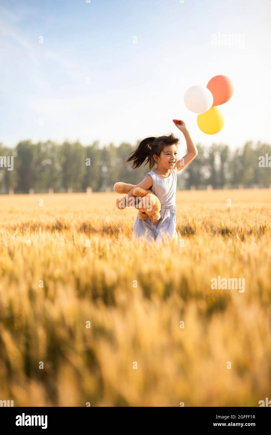 Little girl playing in wheat field Stock Photo - Alamy