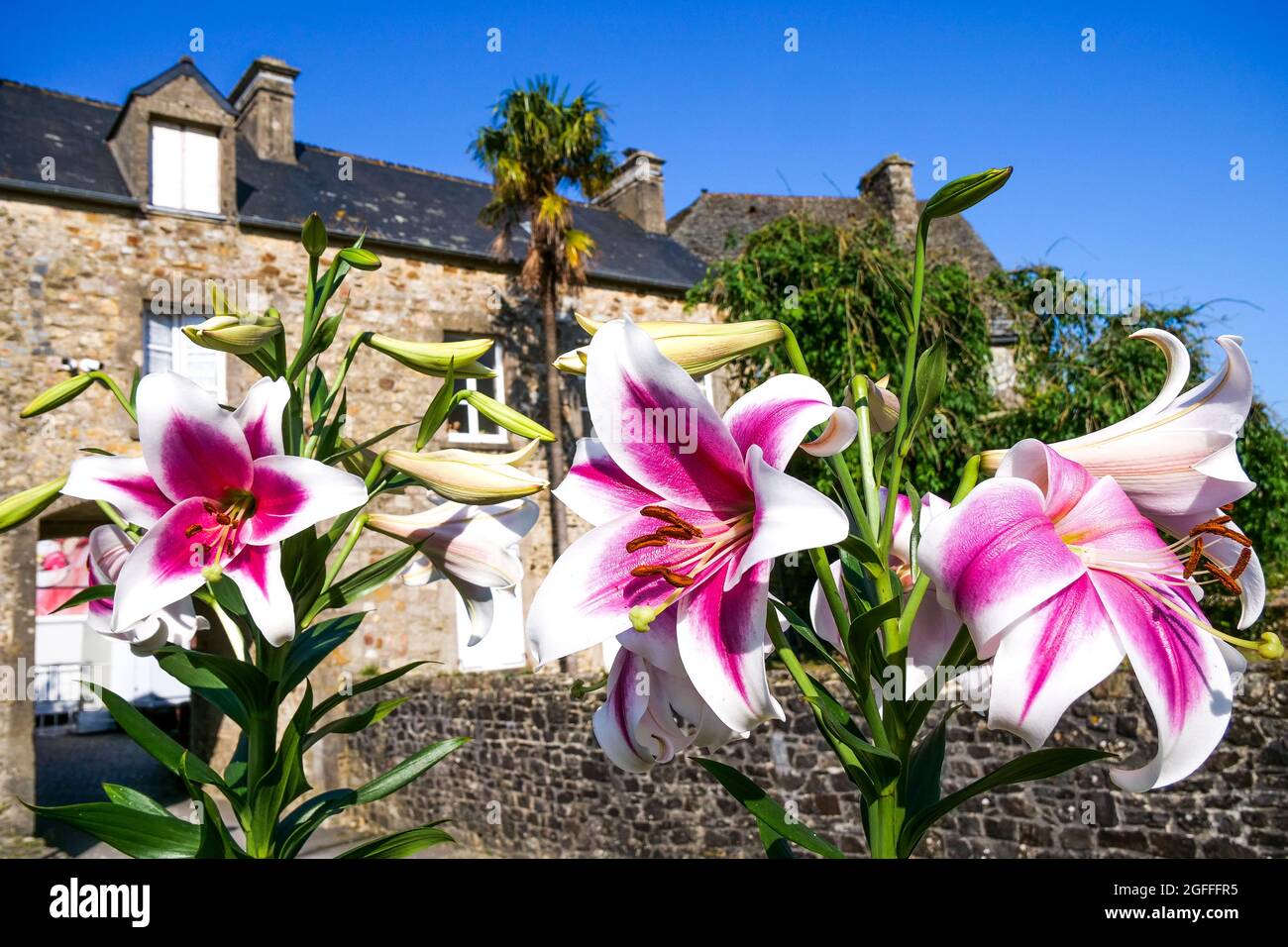 Bricquebec, Manche department, Cotentin, Normandy Region, France Stock Photo