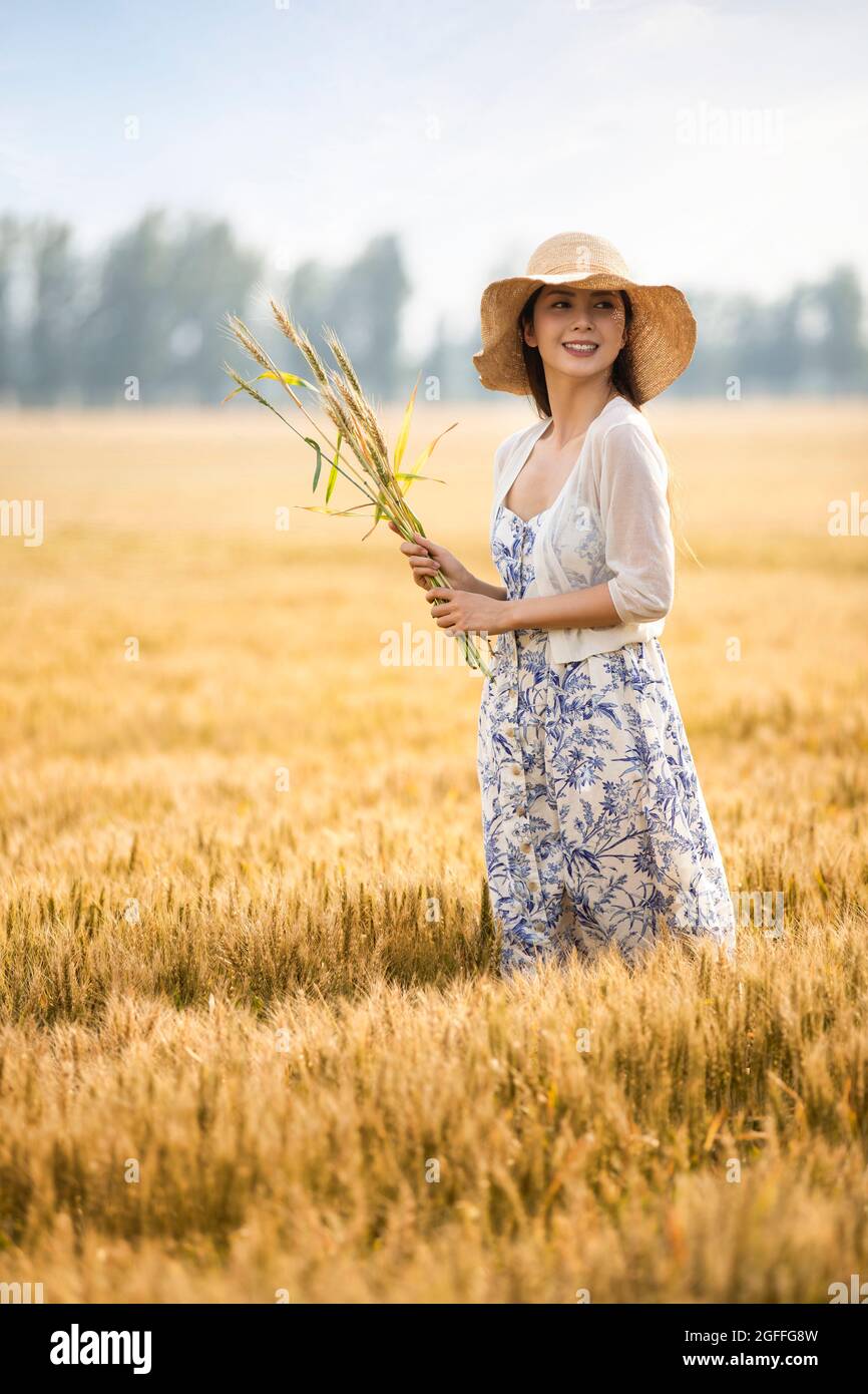 Happy young woman in wheat field Stock Photo - Alamy