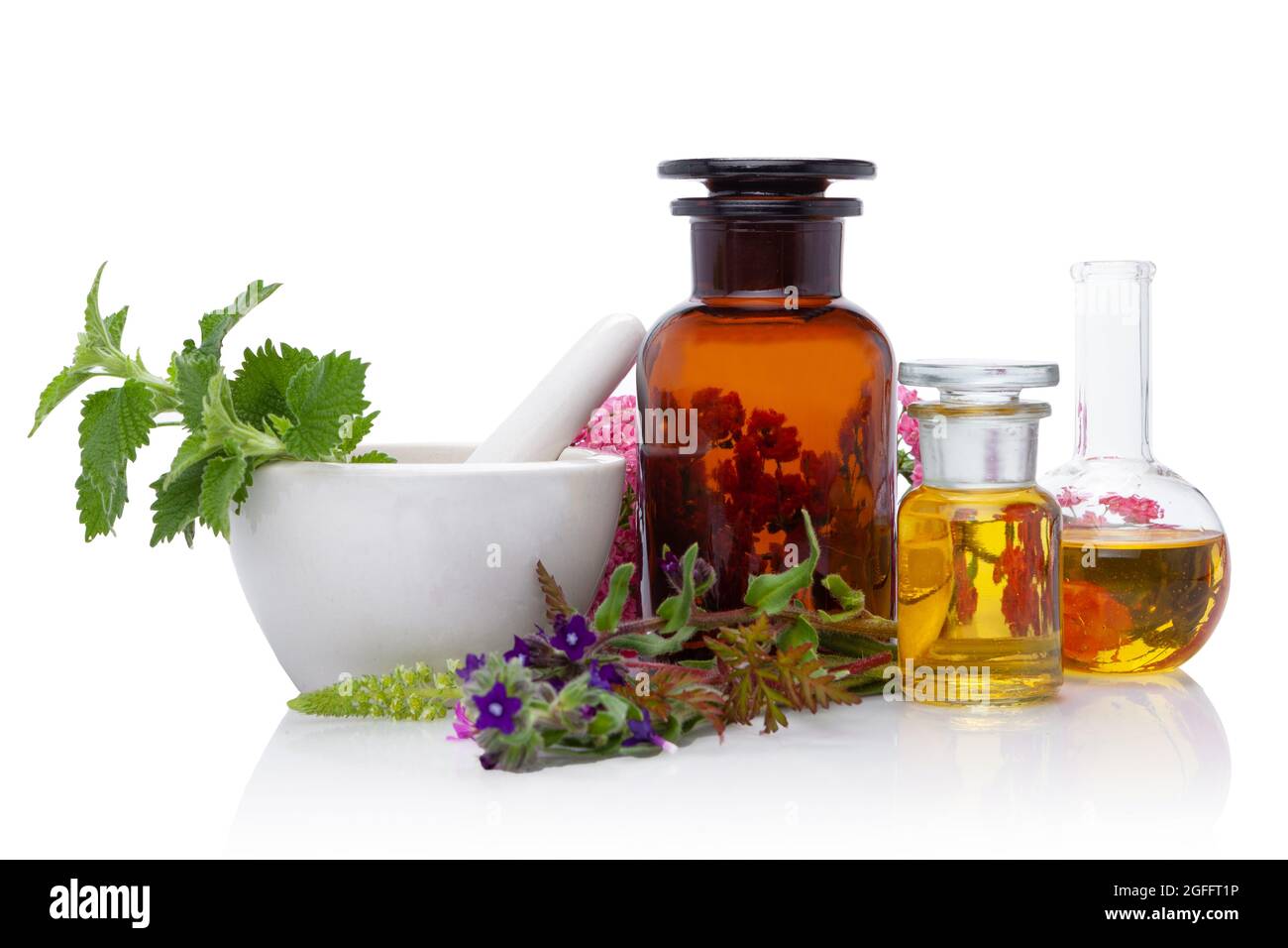 Composition Natural Remedies - fresh herbs. Natural medicines, aromatherapy. BACH THERAPY Stock Photo