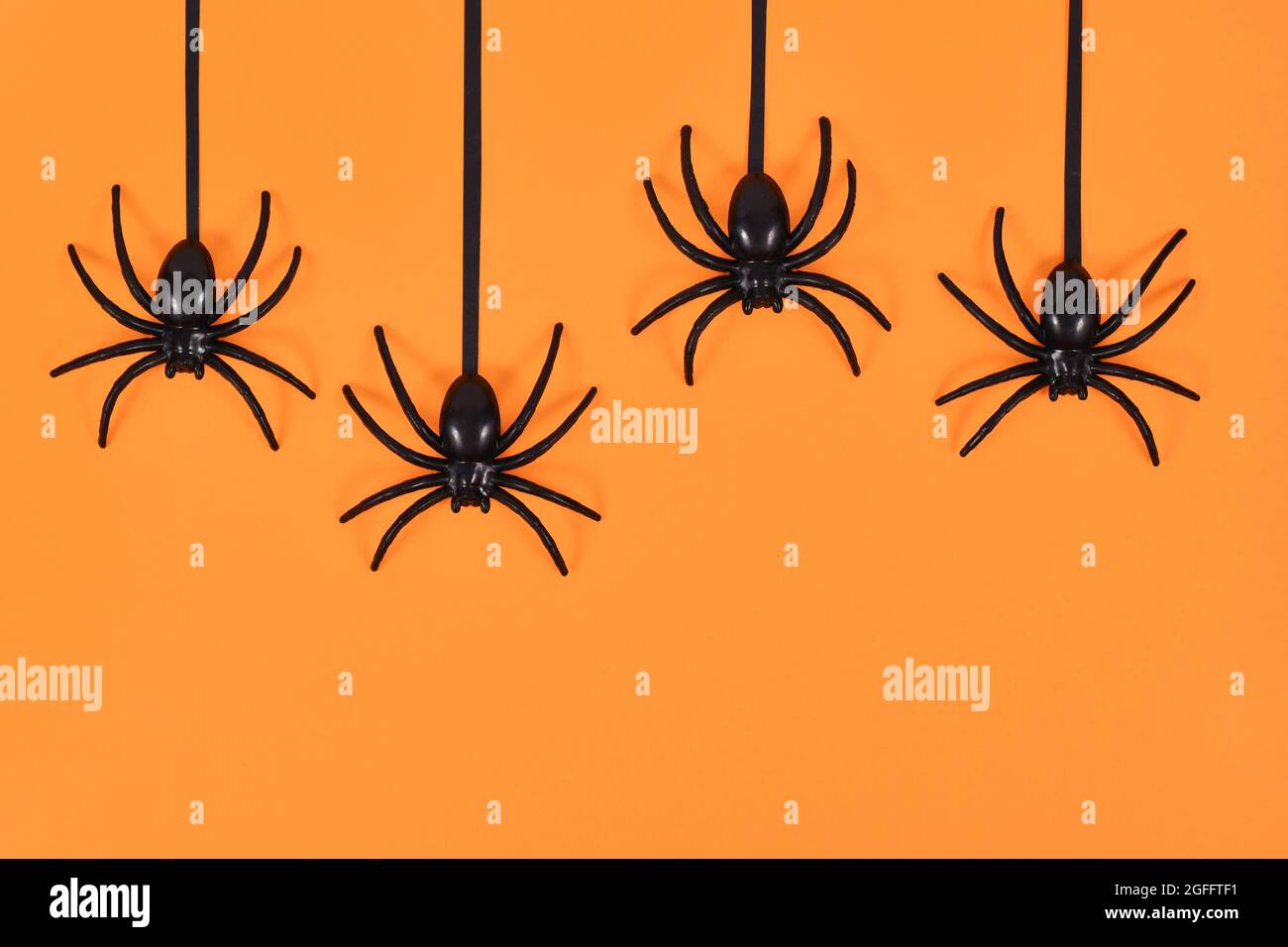 Plastic spiders hanging from top on orange Halloween background with ...