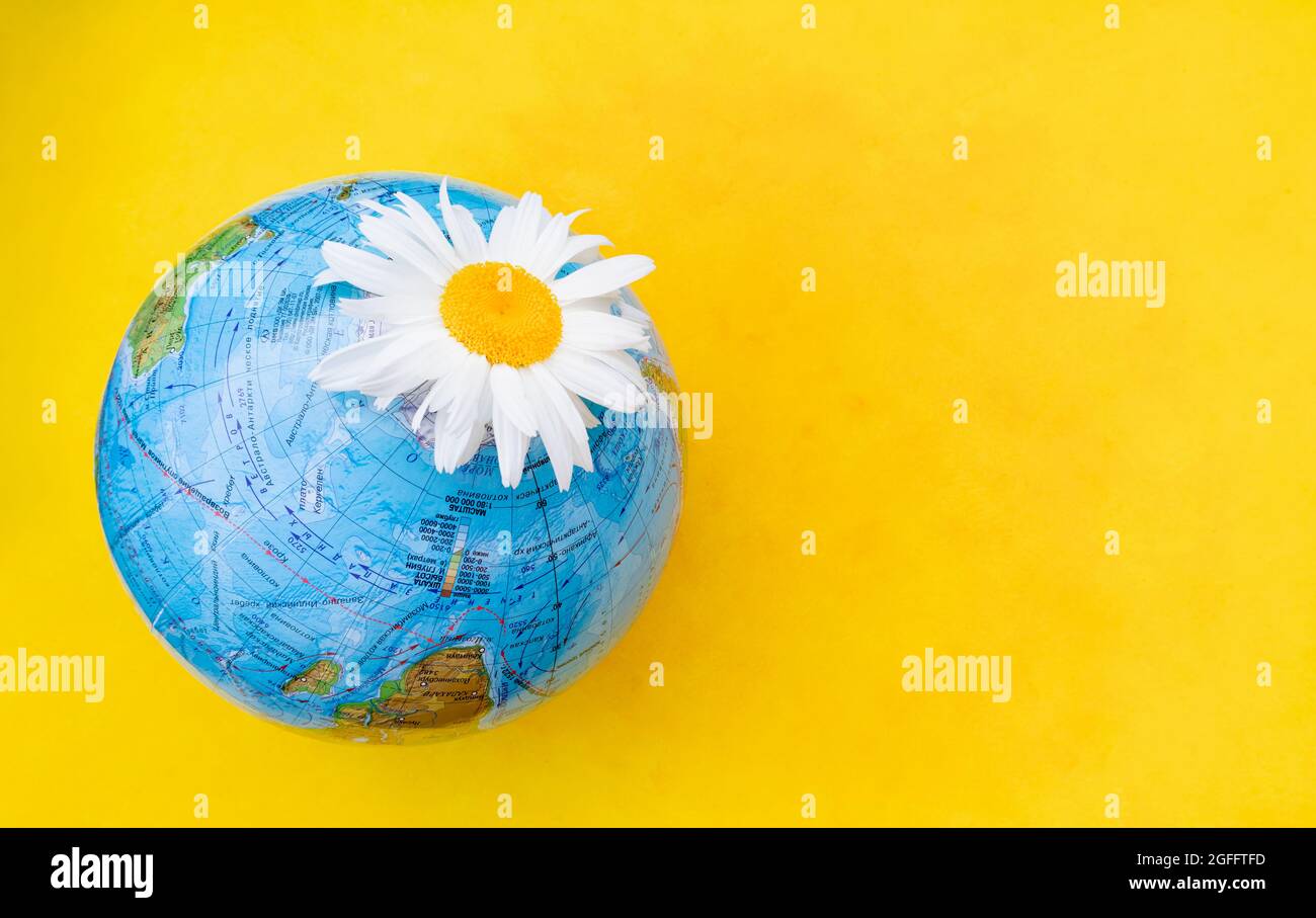 The concept of ecology and nature protection. A globe with a daisy on a yellow background with a place for text. Stock Photo