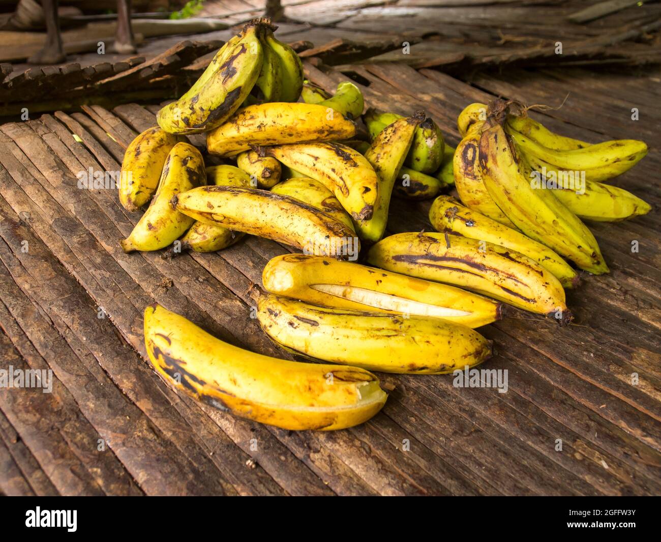 Bunch of small ripe bananas freshly picked from the tree. West Papua ...