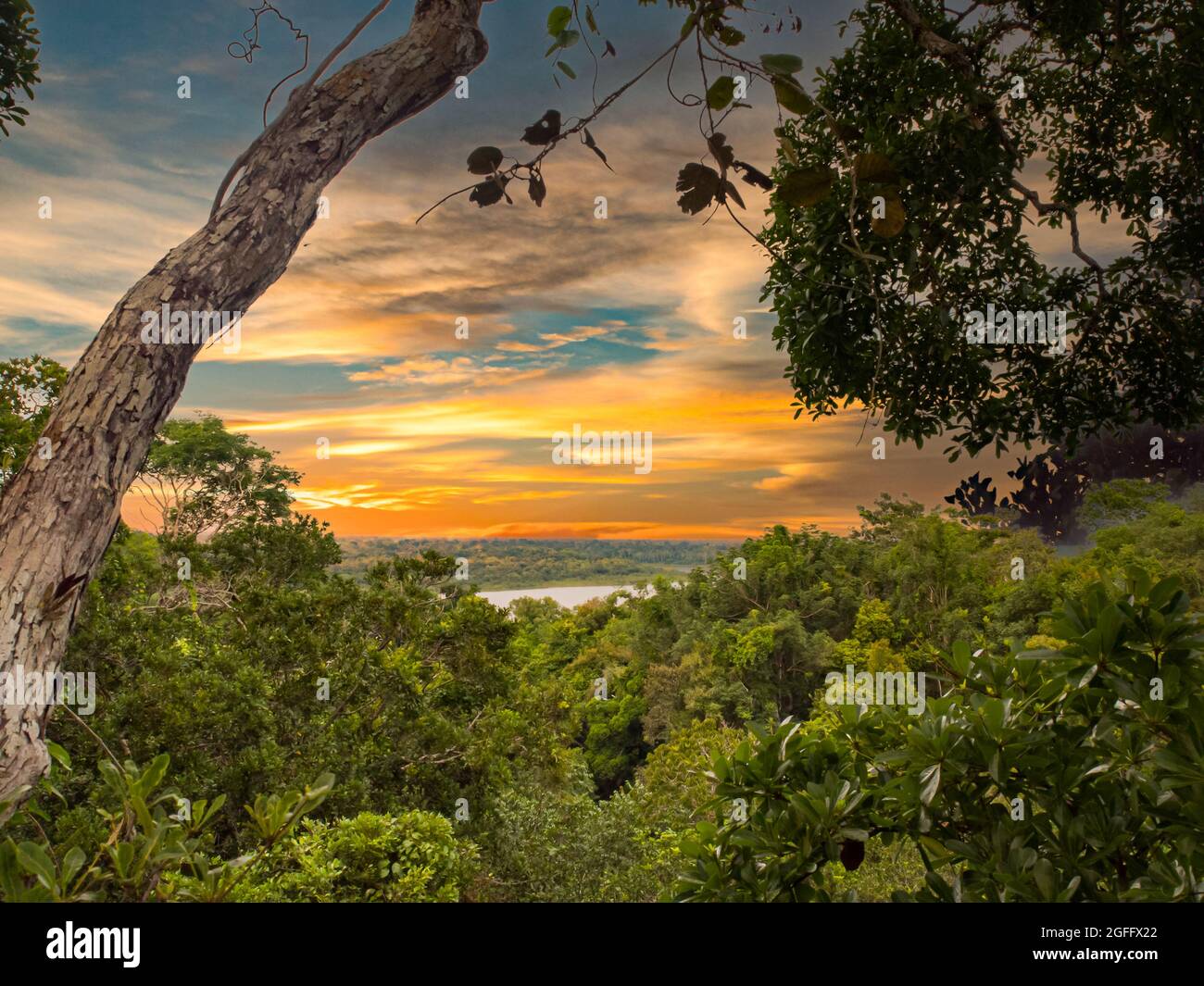 Sunset over the Amazon jungle. Amazonia. Latin America. Javari Valley, Brazil. Peru Stock Photo