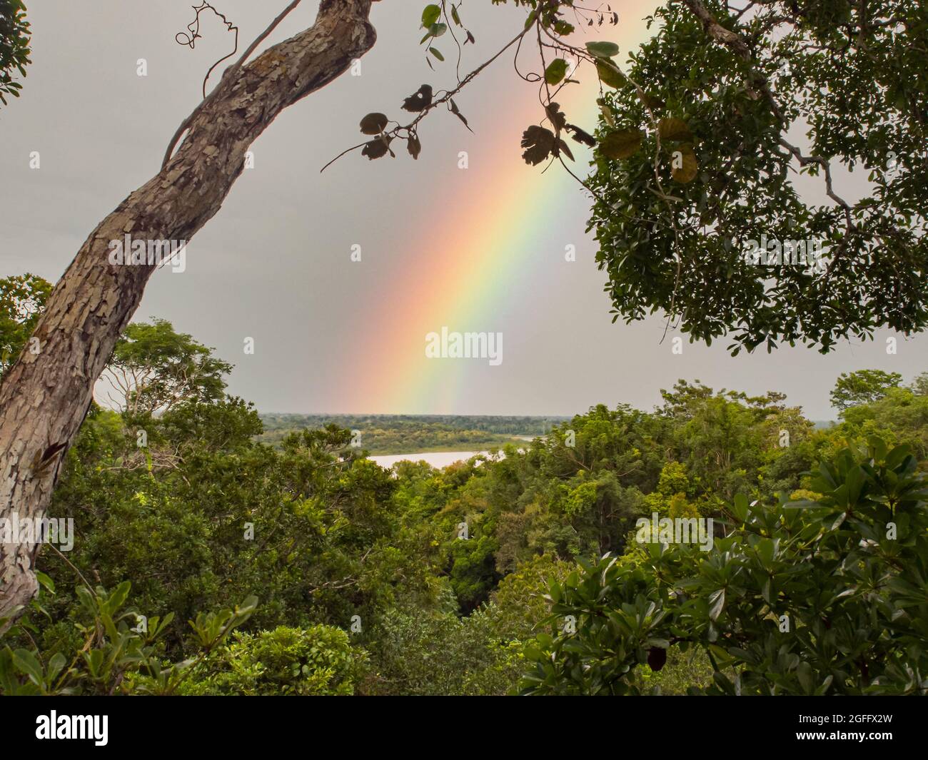 View for the rainbow over the Amazon jungle. Amazonia. Javari Valley Latin America. Brazil. Peru Stock Photo