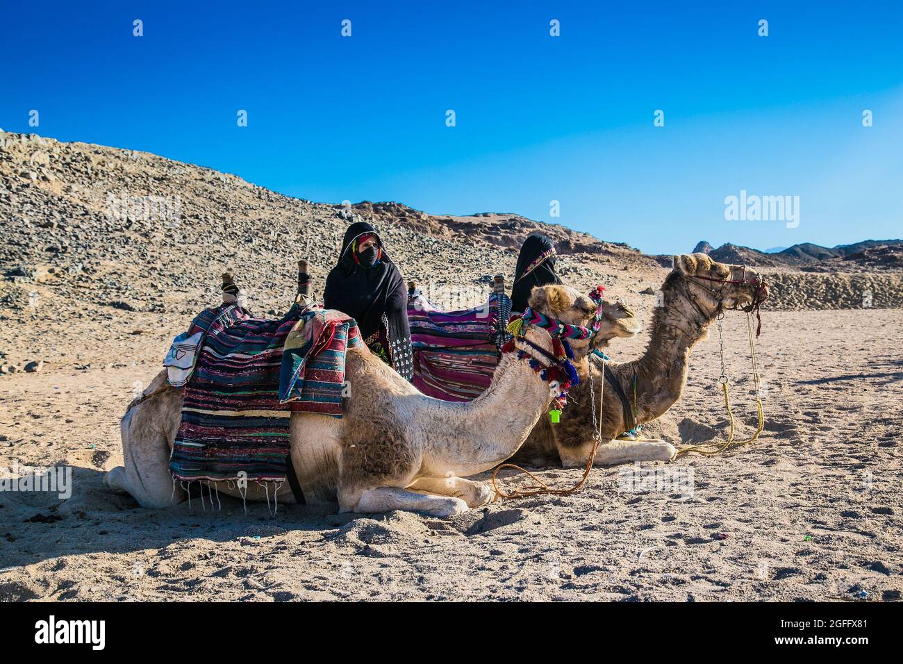 Hurghada, Egypt- Feb 4 , 2020: Two Bedouin Woman In Turbans, Faces ...