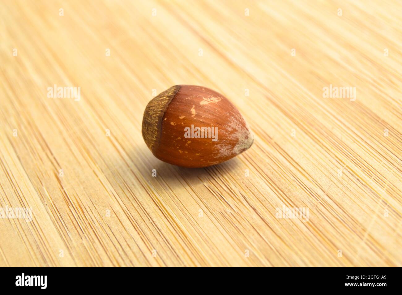 Fresh tasty organic hazelnut filbert, on bamboo cutting board Stock Photo