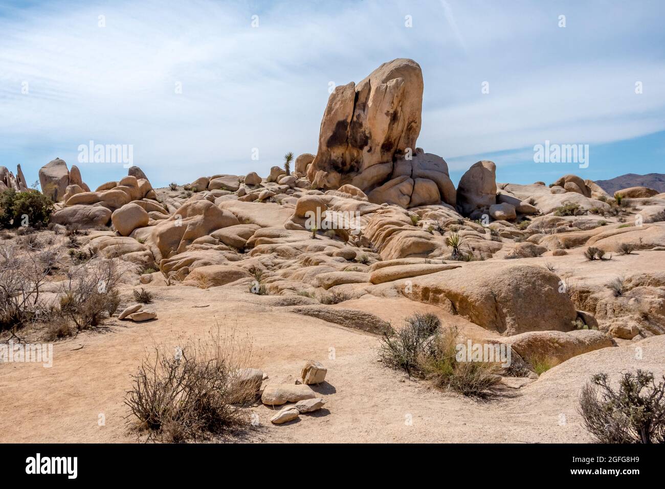 Easy bouldering opportunities can be explored along the family-friendly Arch Rock Trail in Joshua Tree. Stock Photo