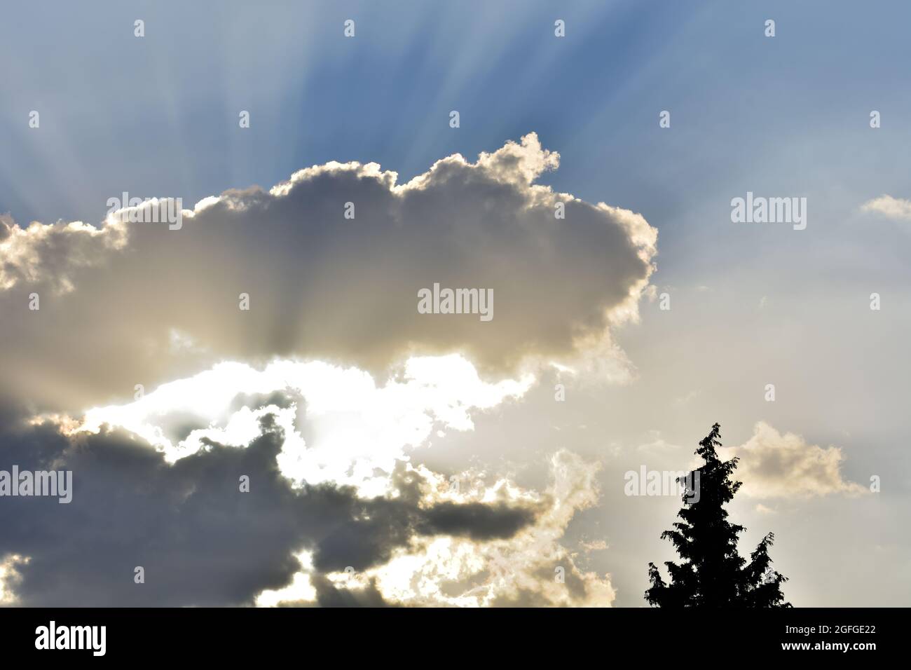 God rays through trees hi-res stock photography and images - Alamy