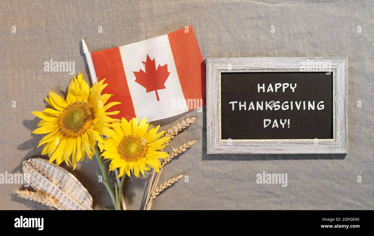 Family guy thanksgiving online free
