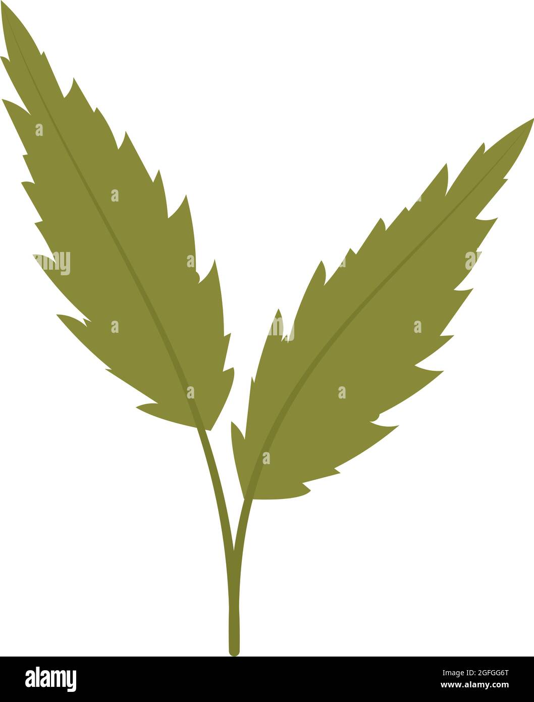 green leaves icon on white background Stock Vector Image & Art - Alamy