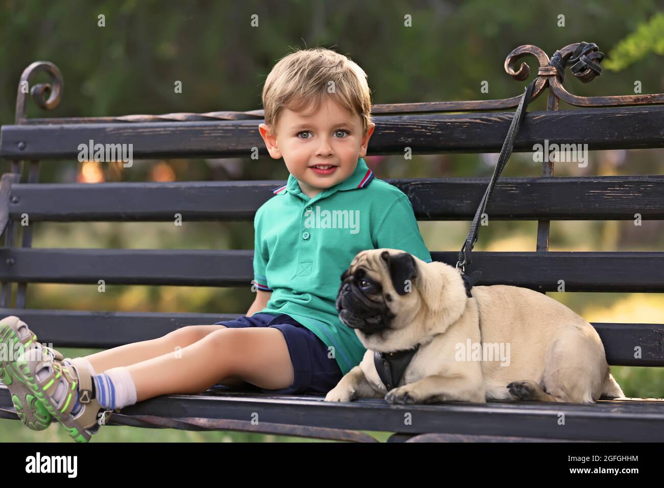 Little boy with his pug dog sitting on a bench Stock Photo - Alamy