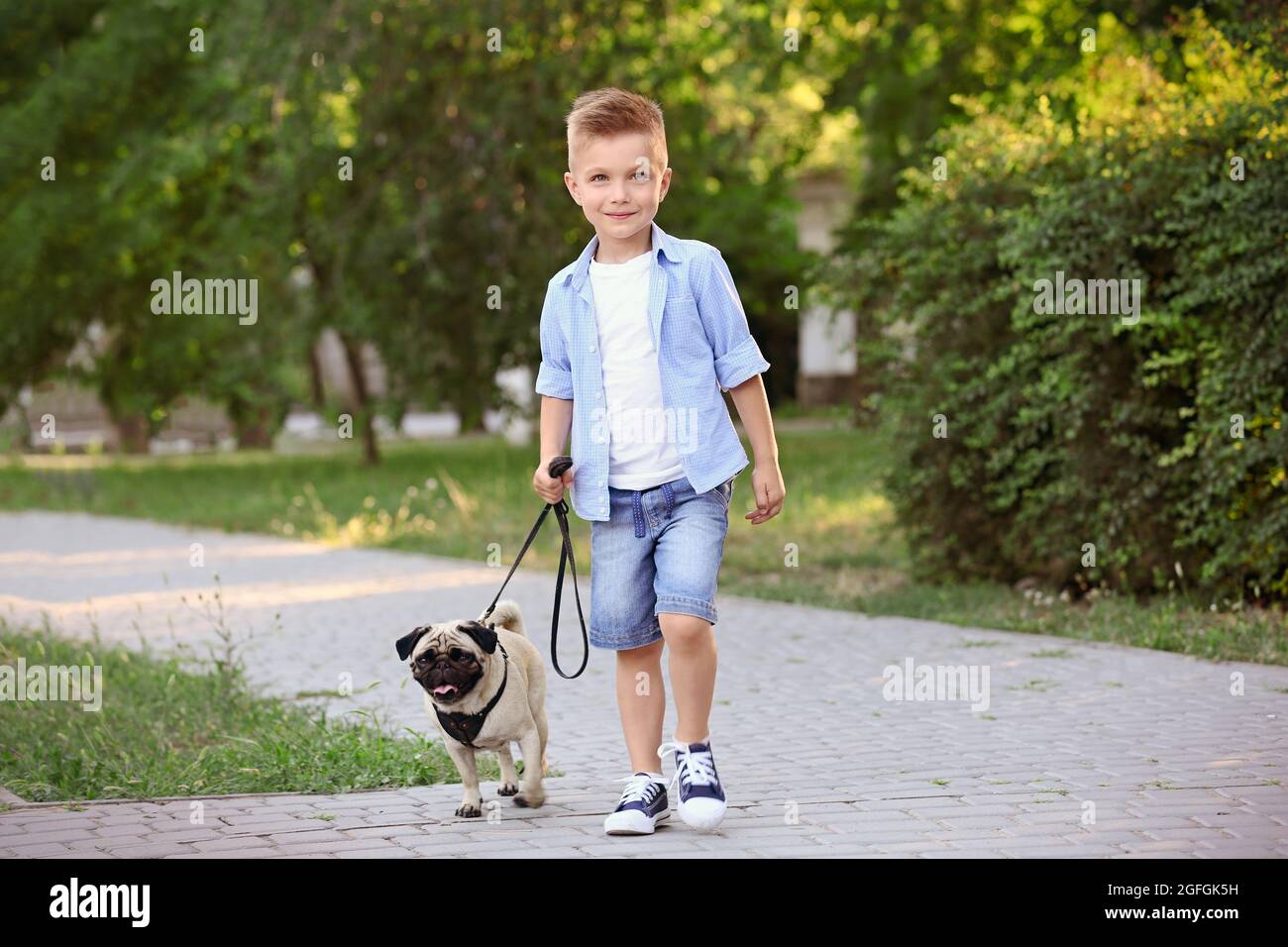 Cute boy with pug dog in park Stock Photo - Alamy