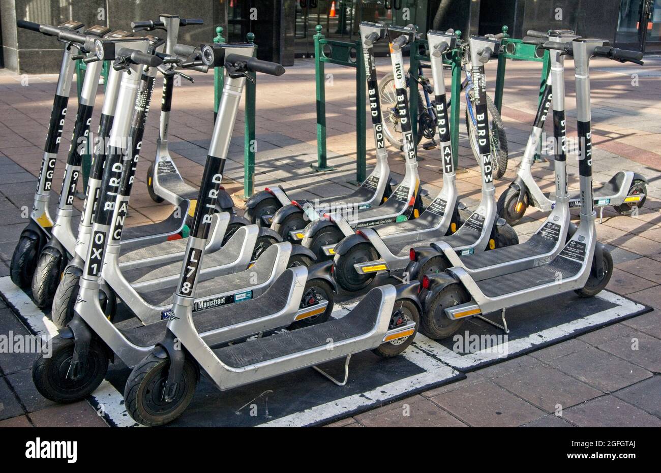 escooters Downtown Calgary Alberta Stock Photo Alamy