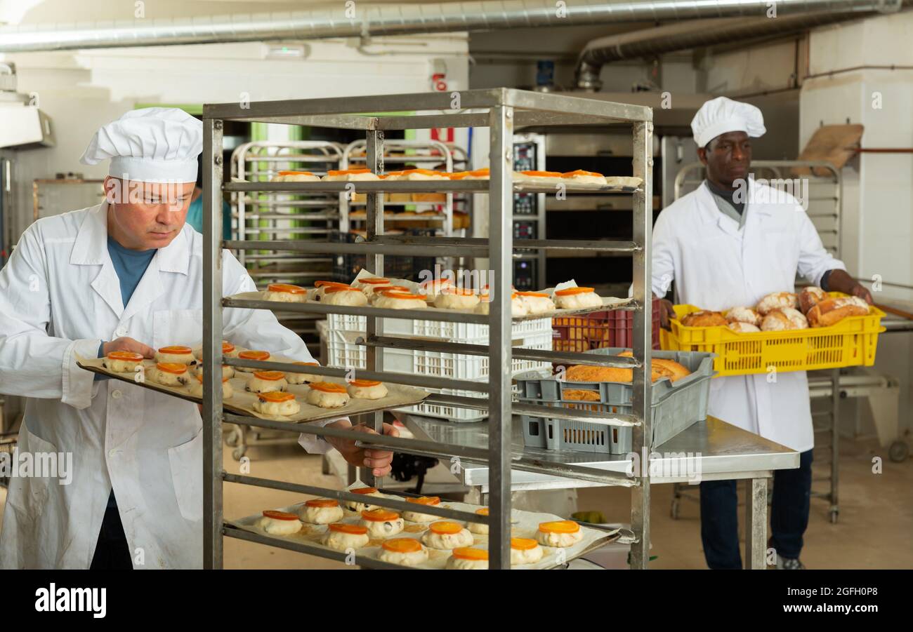 Baker arranging trays with shaped raw dough on trolley Stock Photo