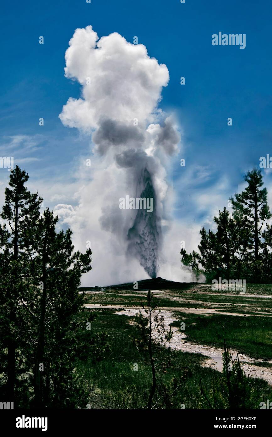 Eruption old faithful yellowstone national park hi-res stock ...