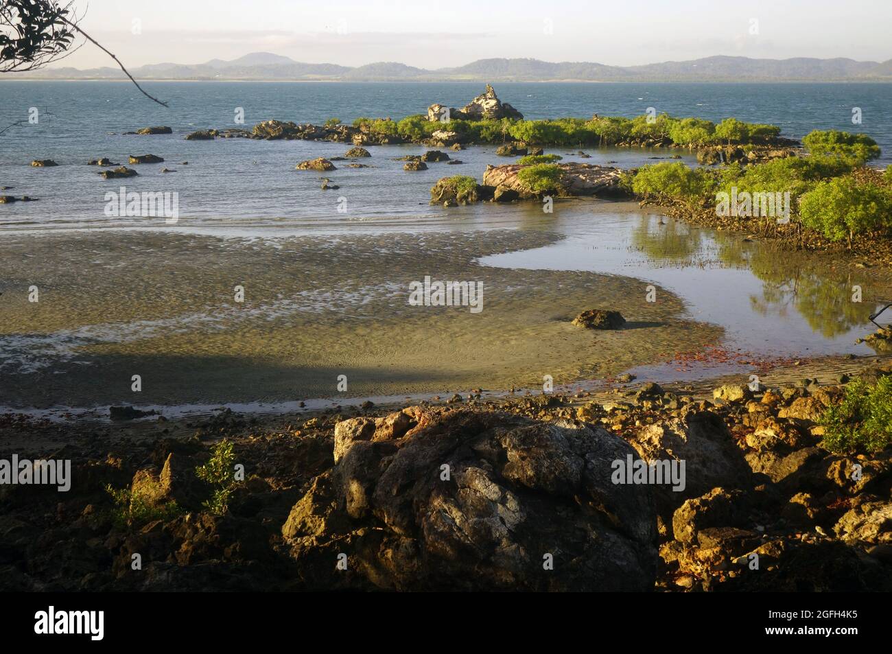 Fish traps australia hires stock photography and images Alamy
