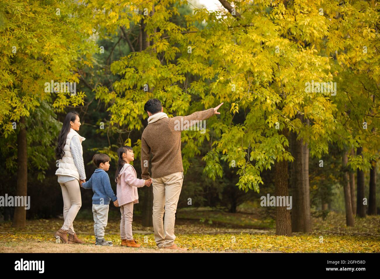 Happy young family having fun in woods Stock Photo