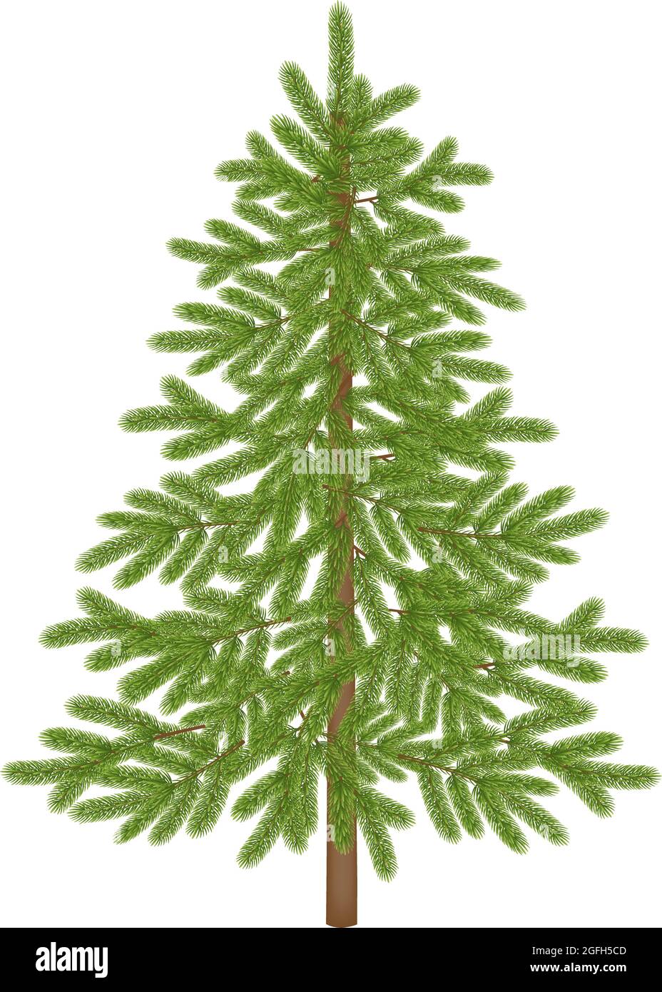 Isolated empty christmas tree for christmas backgrounds Stock Vector