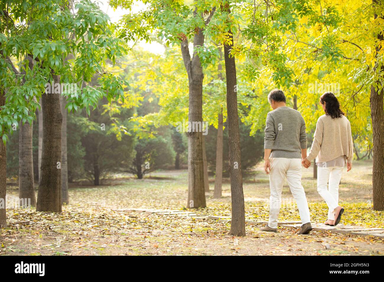 Senior couple walking in woods Stock Photo - Alamy