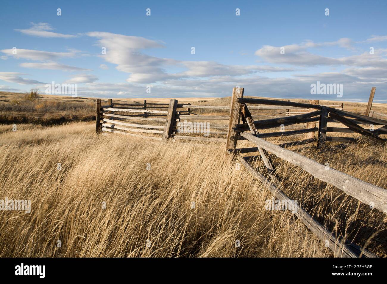 Fallen fence rails and leaning posts show the ravages of time on this