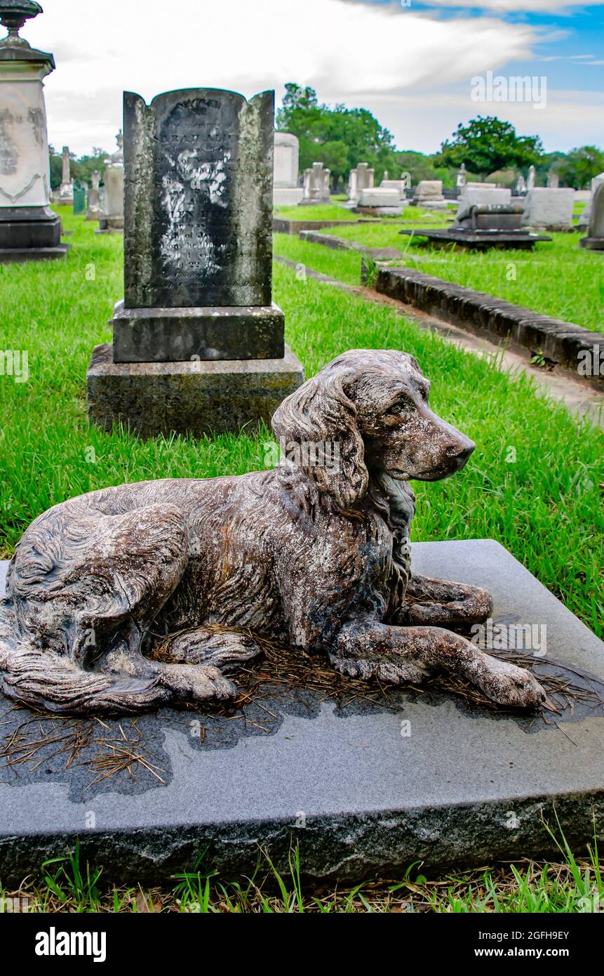 A dog statue lays at the foot of four children’s graves in the Nott
