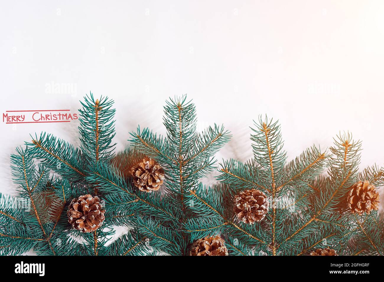 Green Christmas fir tree branches with cones isolated on white ...