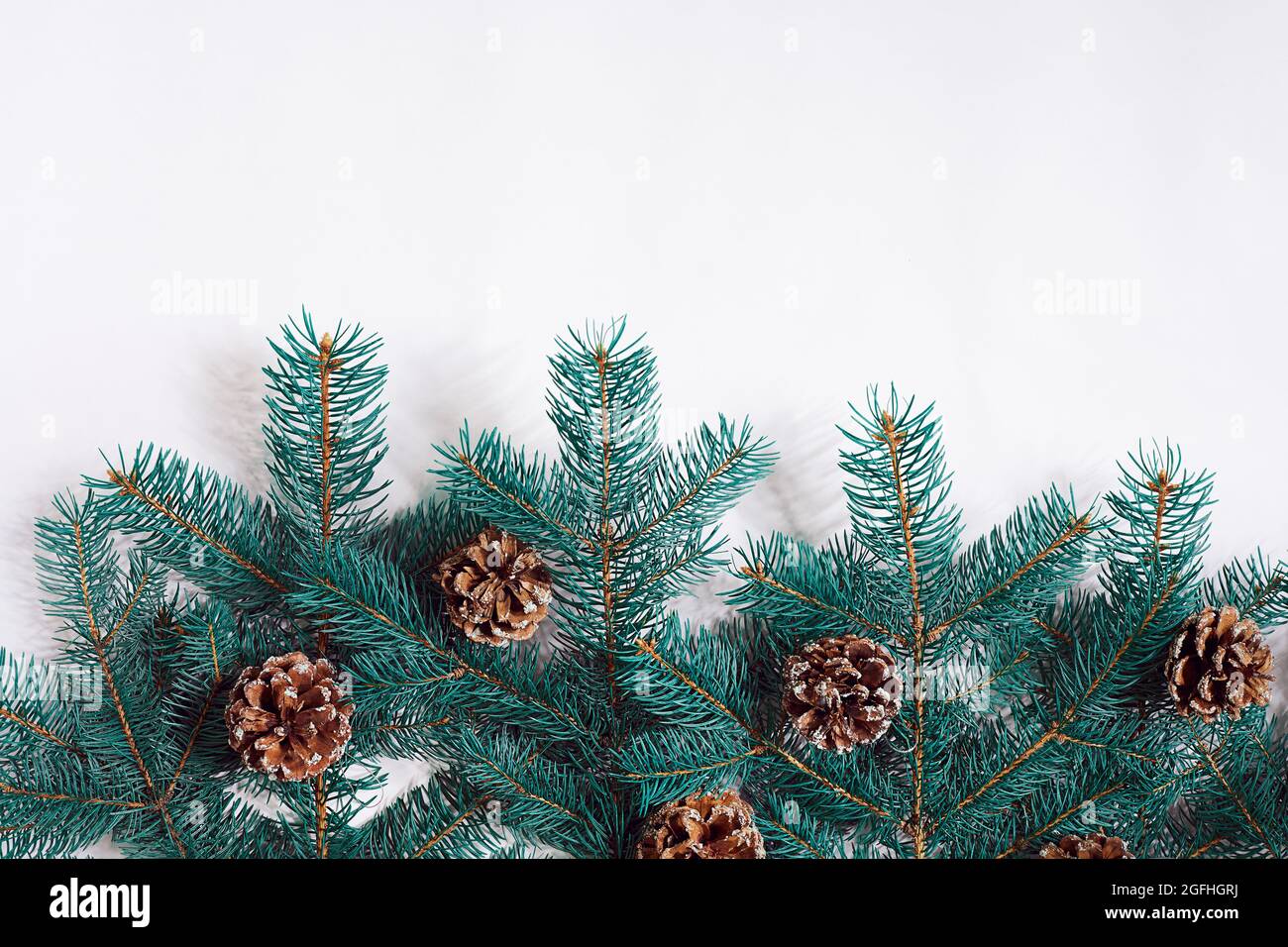 Green Christmas fir tree branches with cones isolated on white ...