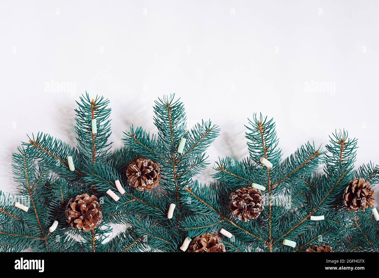 Green Christmas fir tree branches with cones isolated on white ...