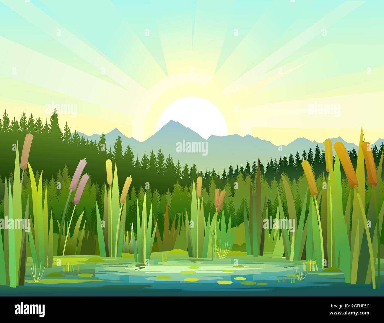 Landscape with a swampy shore of a lake or river. Coast is overgrown with grass, reeds and cattails. Sunrise from behind the mountains. Water with wat Stock Vector