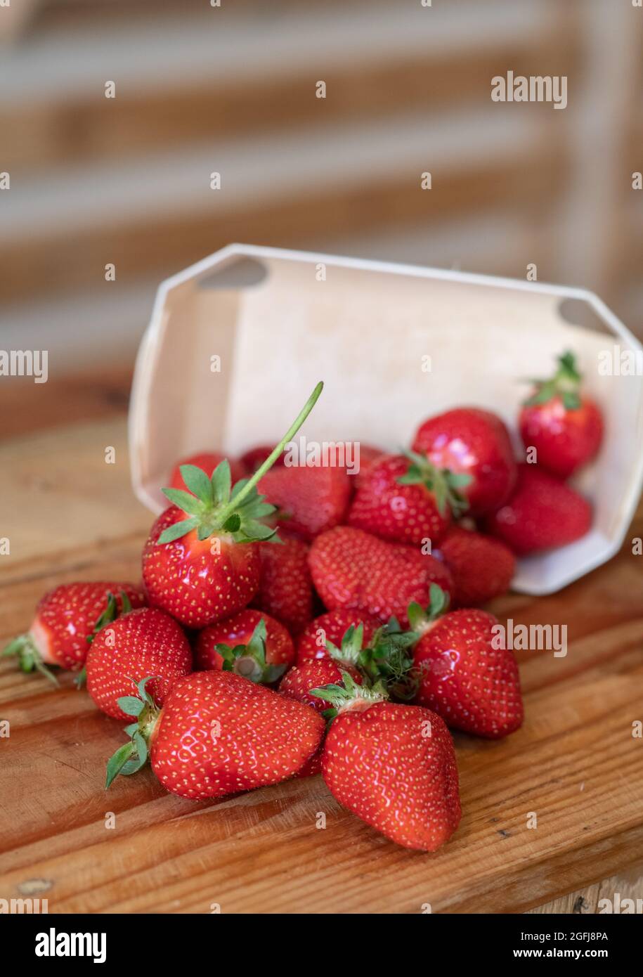 Punnet of strawberries in south eastern France Stock Photo