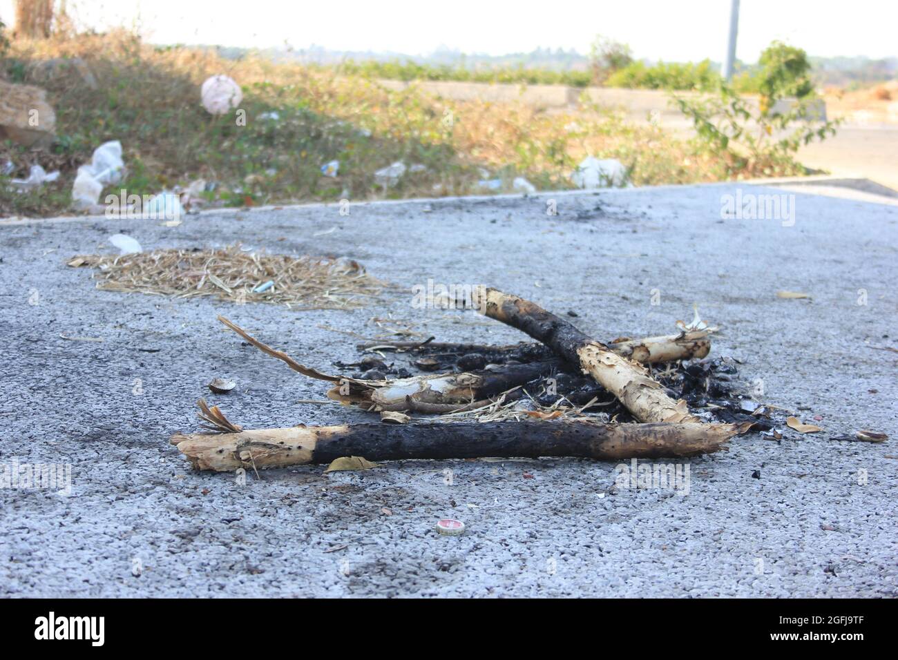 Charred wood, tree bark with ash pile, burn firewood Stock Photo Alamy