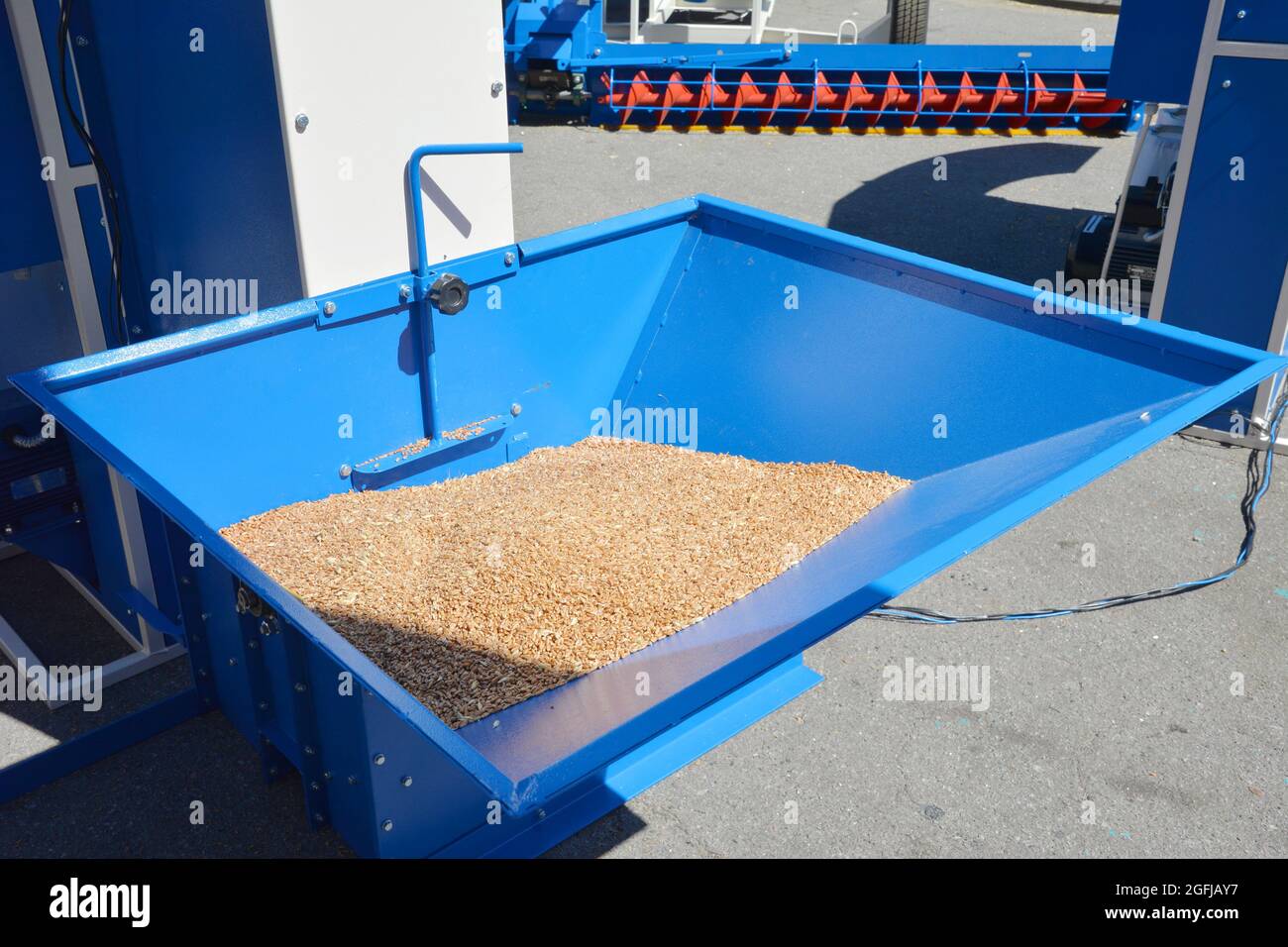A close-up on grain grinding machine, corn powder crusher, electric mill for home and commercial use with corn, grain, wheat in blue large hopper. Stock Photo