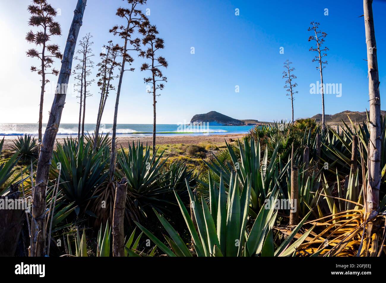 Landscape of the coastal area Cabo de Gata, province of Almeria, Andalucia, Spain. Beach Playa de los Genoveses with agave along the Mediterranean coa Stock Photo