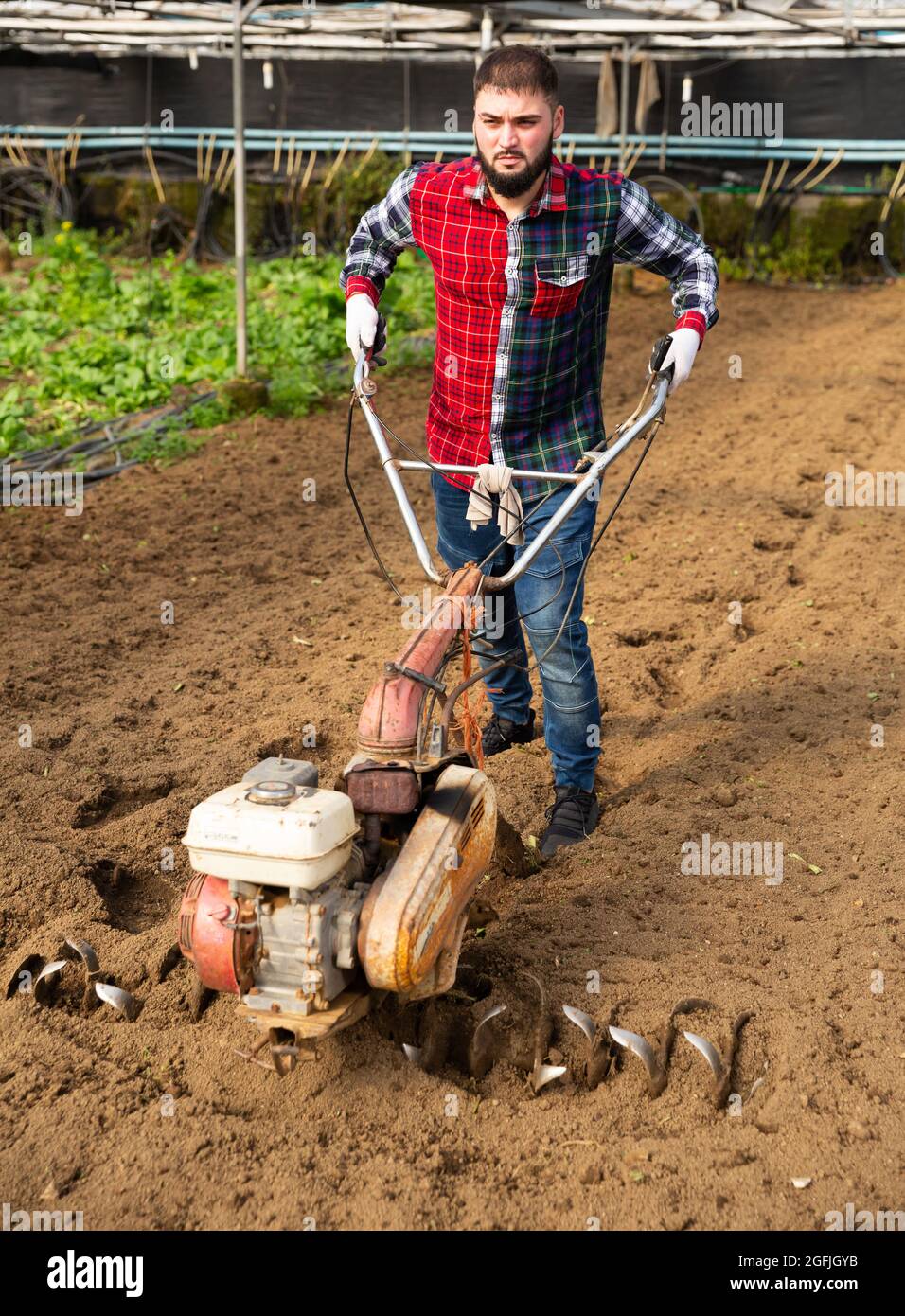 Man plowing ground with cultivator Stock Photo Alamy