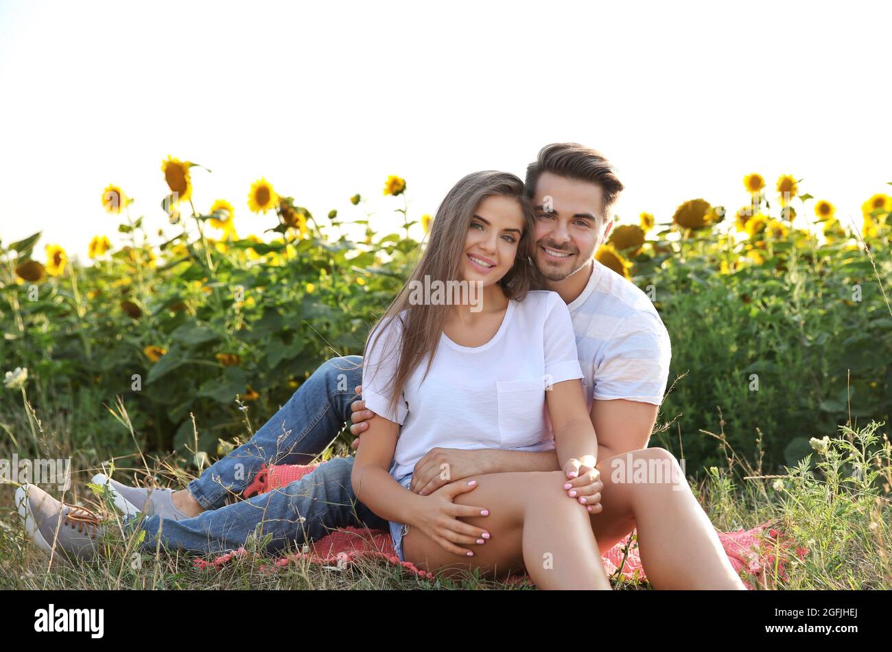 Happy young couple sitting in the field of sunflowers Stock Photo - Alamy