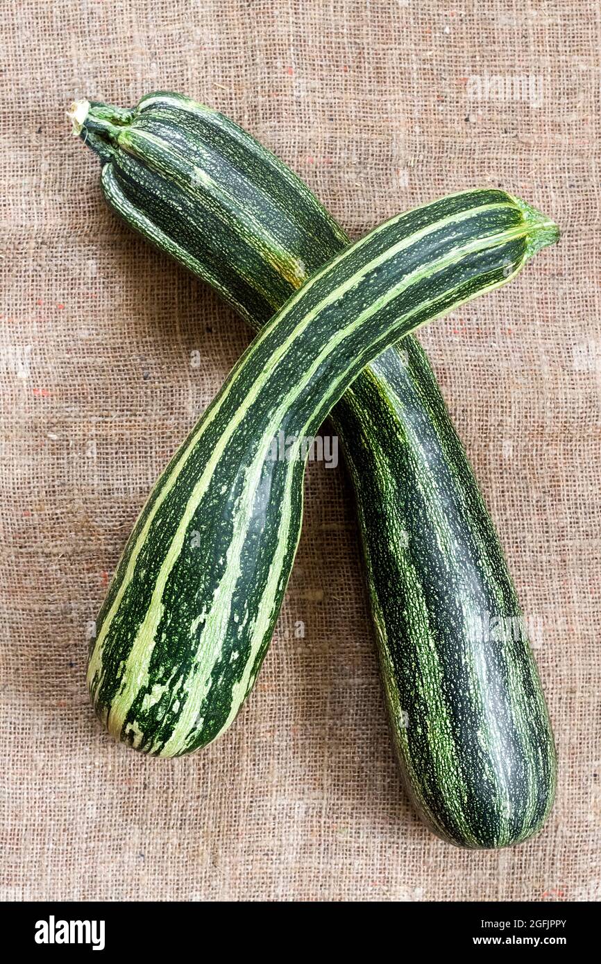 Fresh striped zucchini on sackcloth background Stock Photo