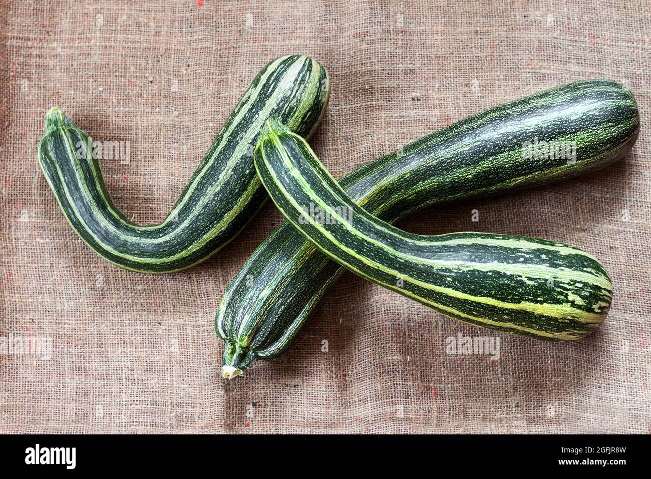 Fresh striped zucchini on sackcloth background. Flat lay, top view. Rustic style Stock Photo