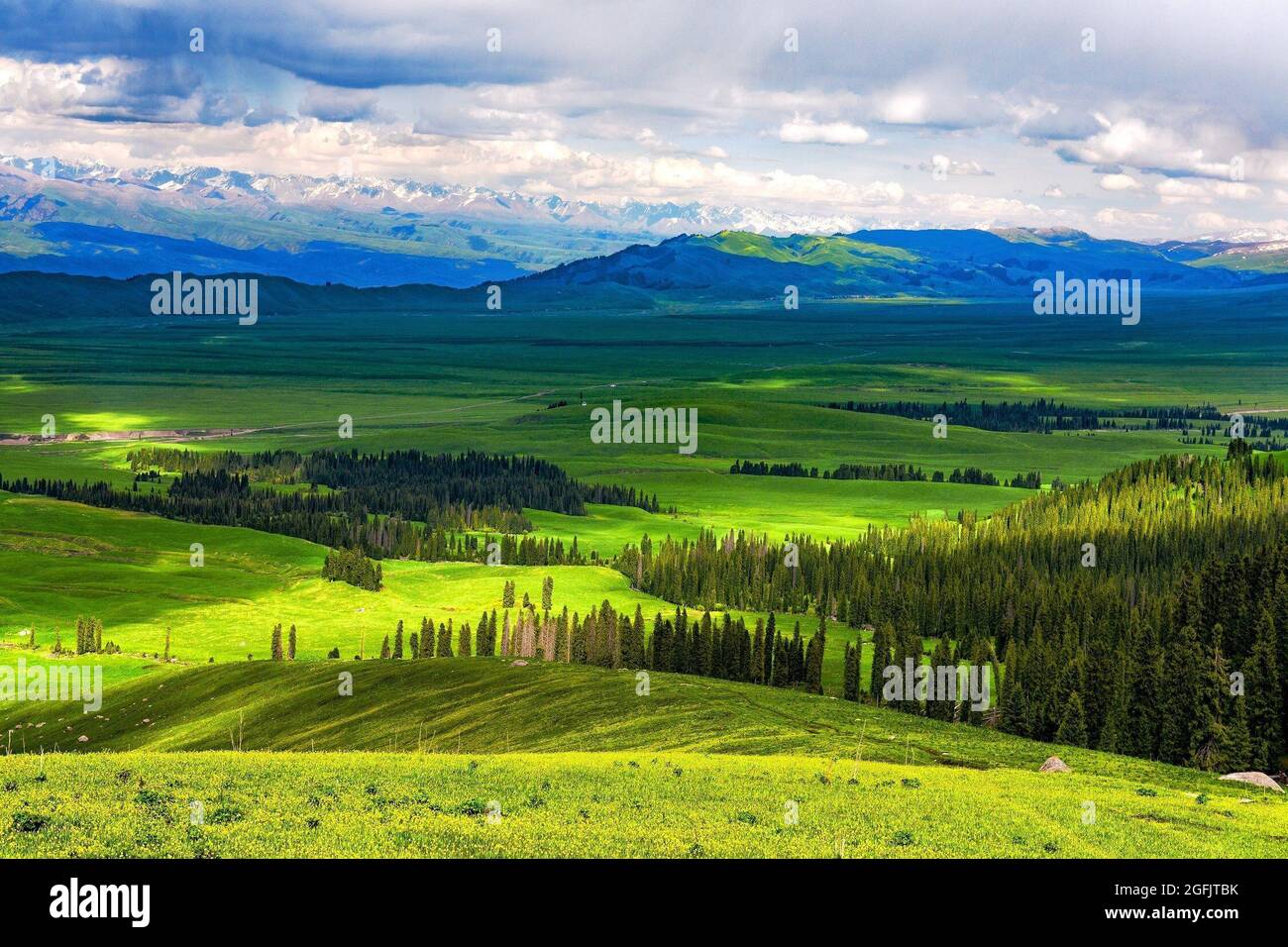 Yili, Yili, China. 26th Aug, 2021. Nalati Grassland, Xinyuan County, Ili Kazakh Autonomous Prefecture, Xinjiang. (Credit Image: © SIPA Asia via ZUMA Press Wire) Credit: ZUMA Press, Inc./Alamy Live News Stock Photo