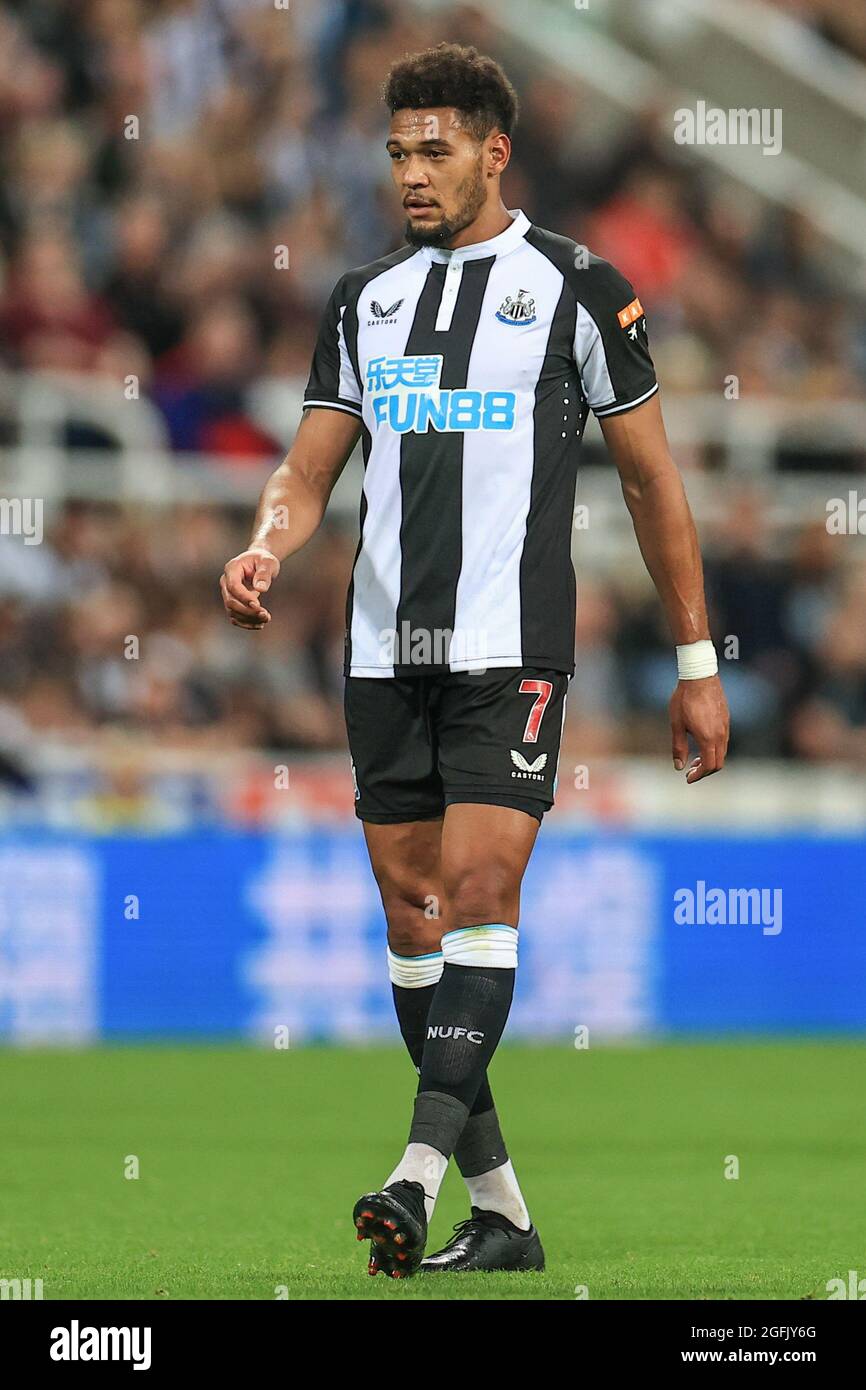 Joelinton #7 of Newcastle United during the game Stock Photo - Alamy