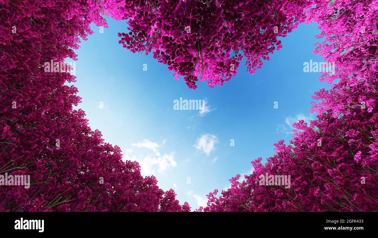 Valentines Heart Shaped Tree Canopy IPhone 6 Plus HD Wallpaper | Beautiful  wallpapers, Beautiful landscape photography, Beautiful landscape wallpaper