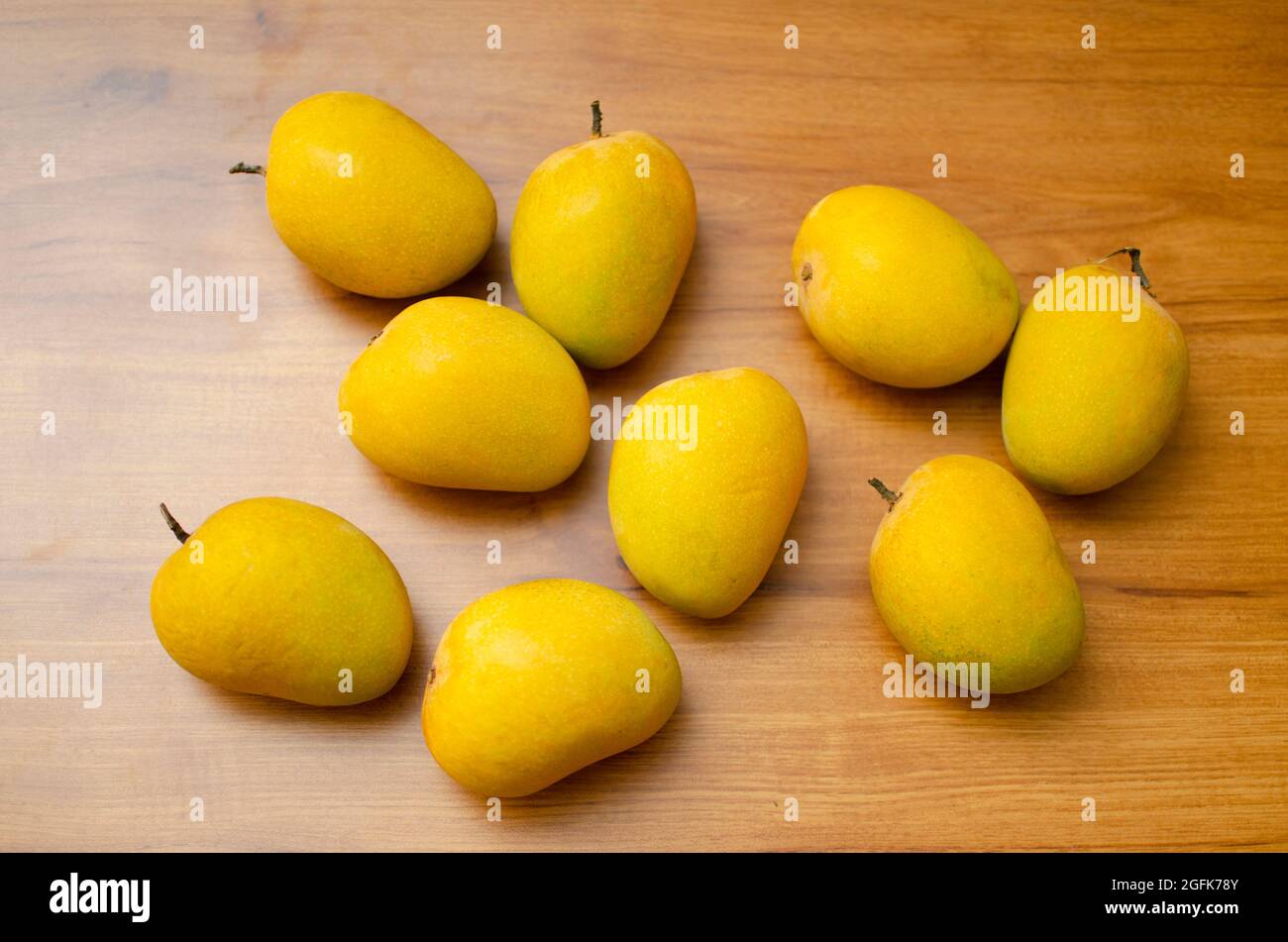 Bunch of 9 Alphonso ripe yellow mangoes on table. Studion shot Stock Photo