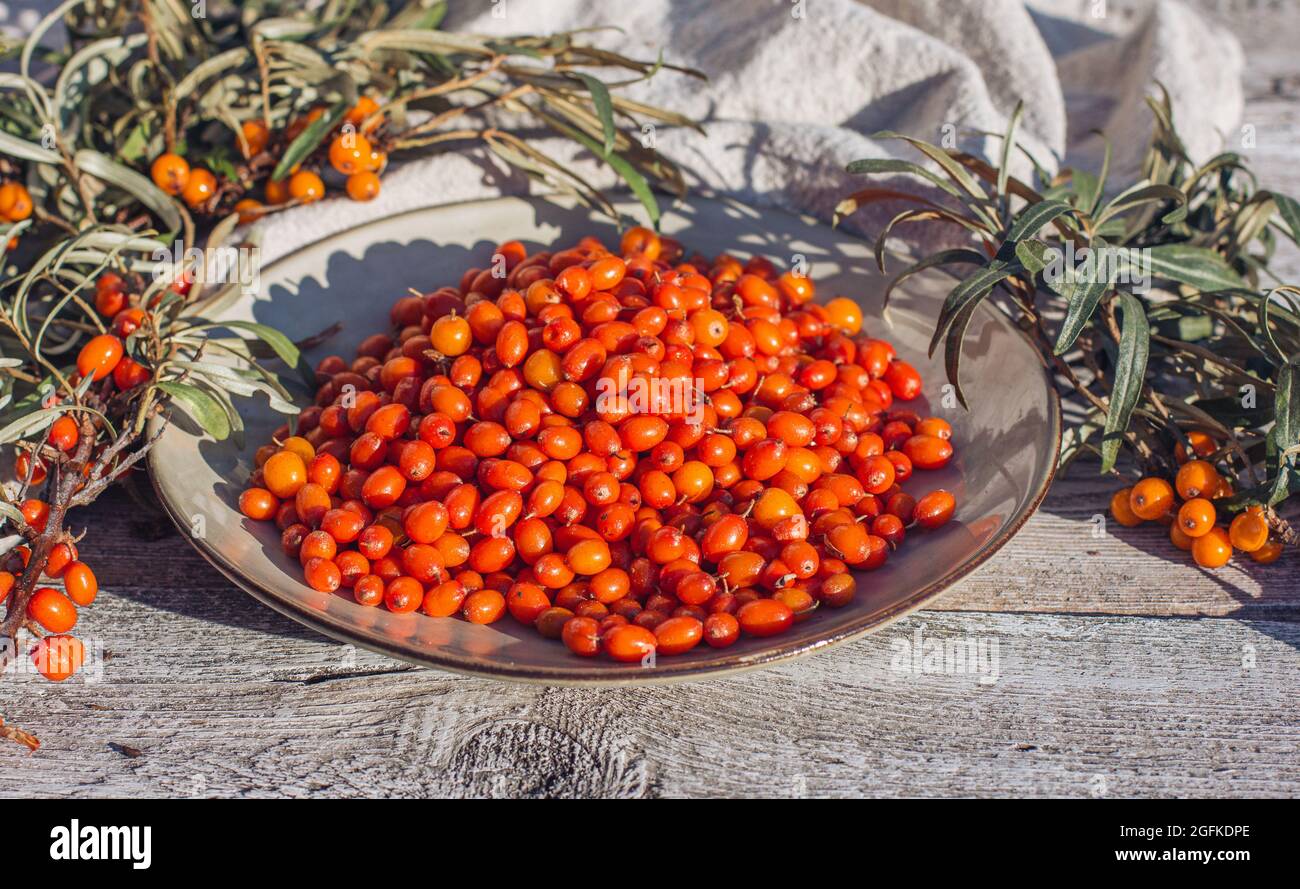Edible Wild Berry Hi-res Stock Photography And Images Page, 50% OFF