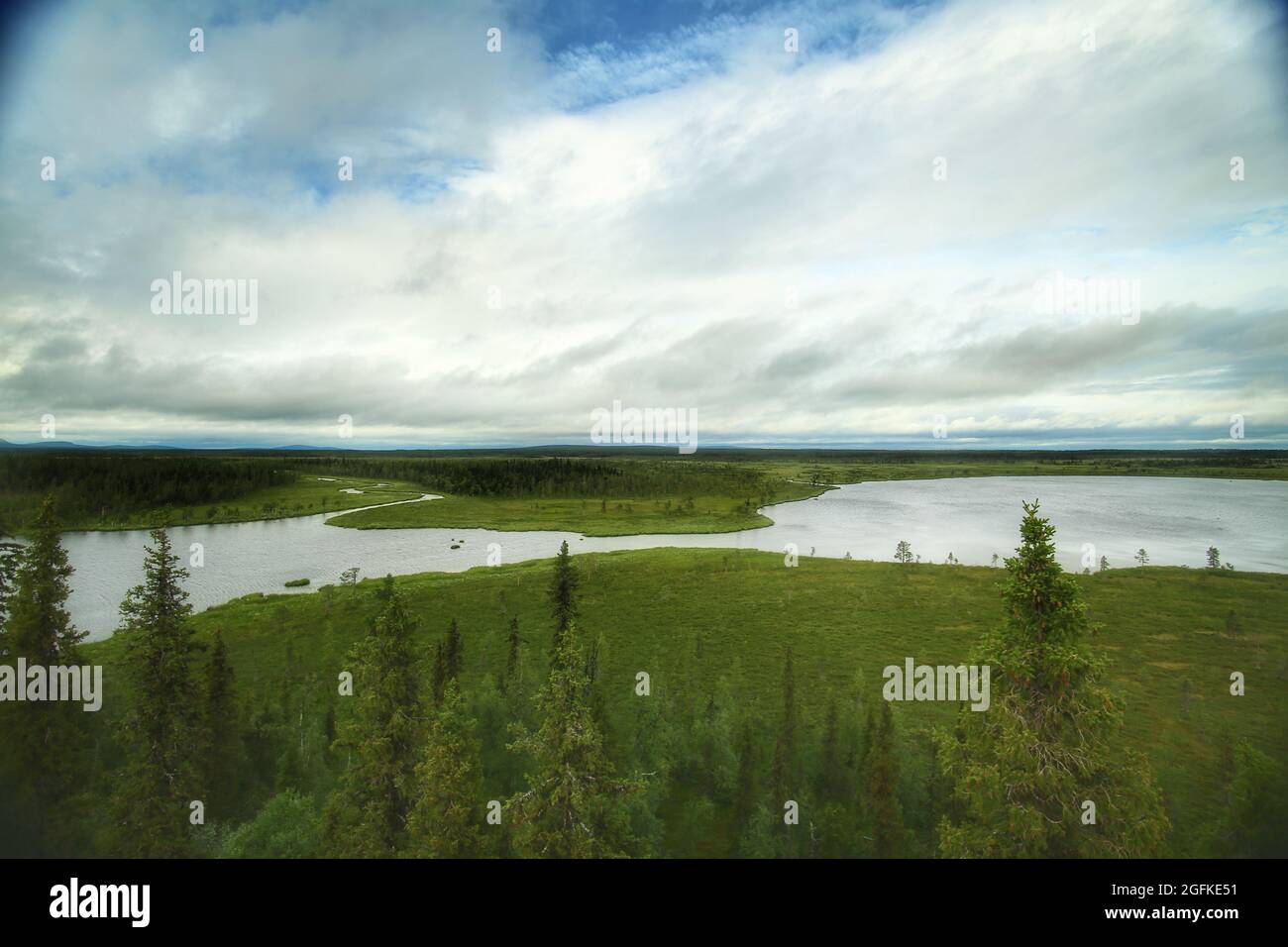 View over wetlands and lakes in Muddus National Park in Sweden. Stock Photo