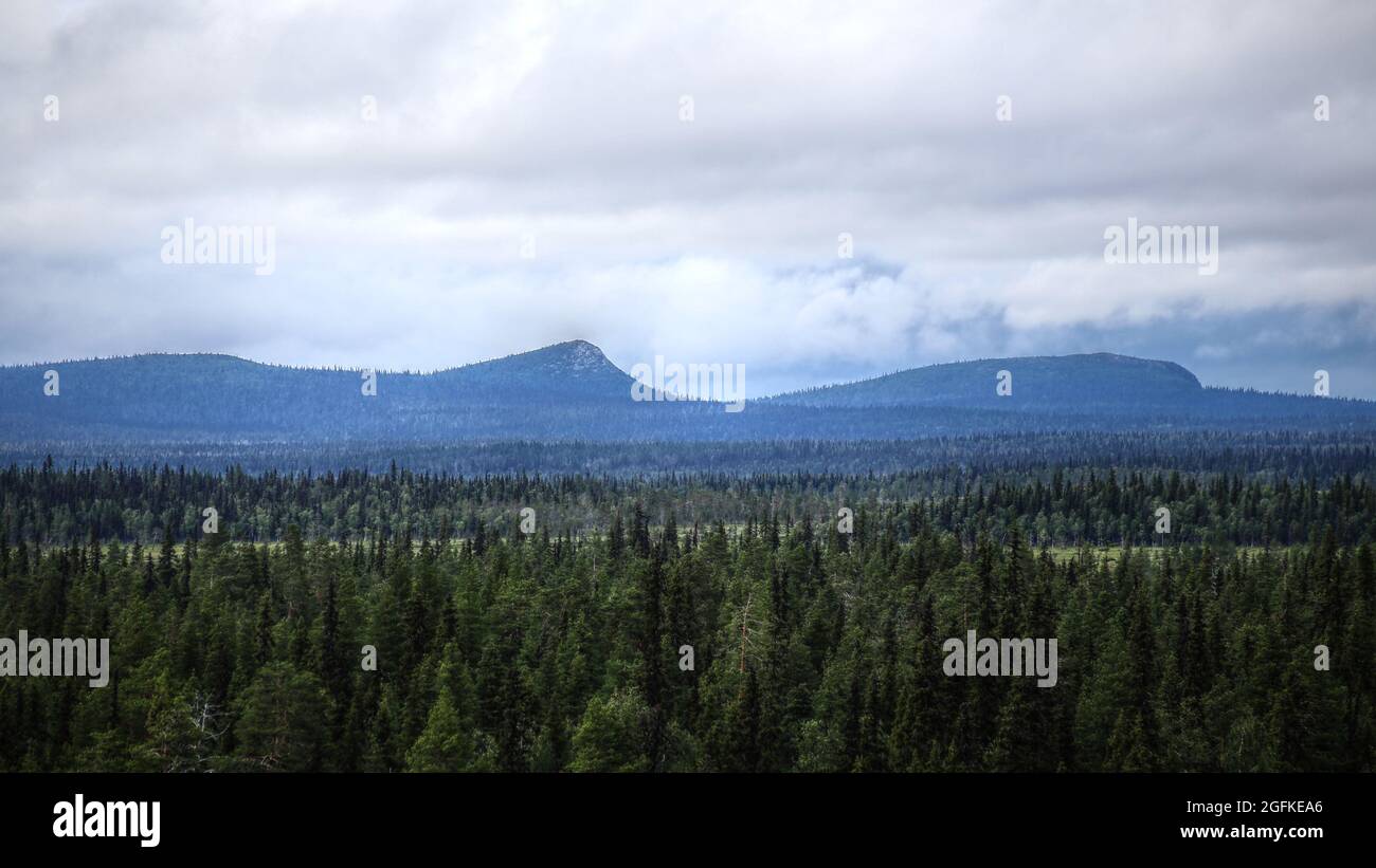 Mountainscape in Muddus National Park in Sweden. Stock Photo