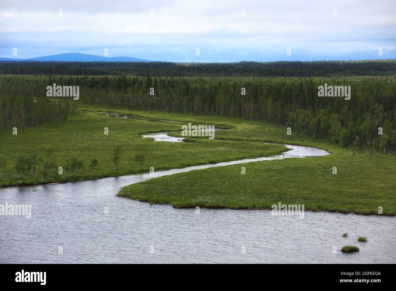View over wetlands and stream in Muddus National Park in Sweden. Stock Photo