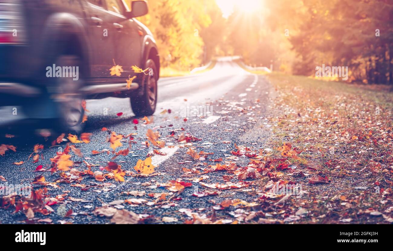 Asphalt road with beautiful trees on the sides in autumn Stock Photo ...
